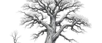 Рисование деревьев характер и форма